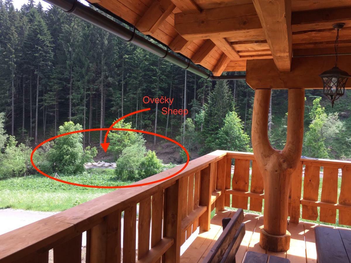 Drevenica Vanesa Terchová Exteriér fotografie