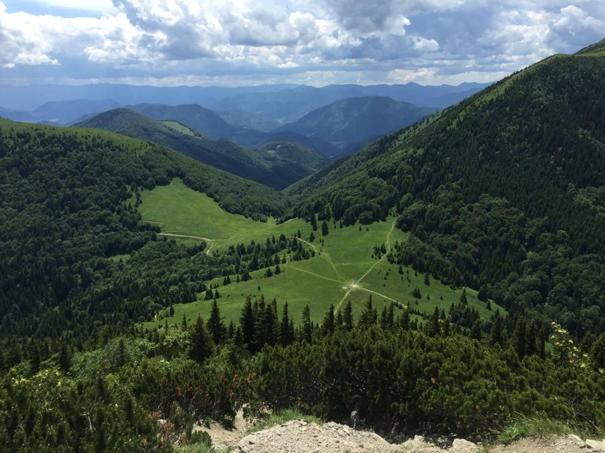 Drevenica Vanesa Terchová Exteriér fotografie